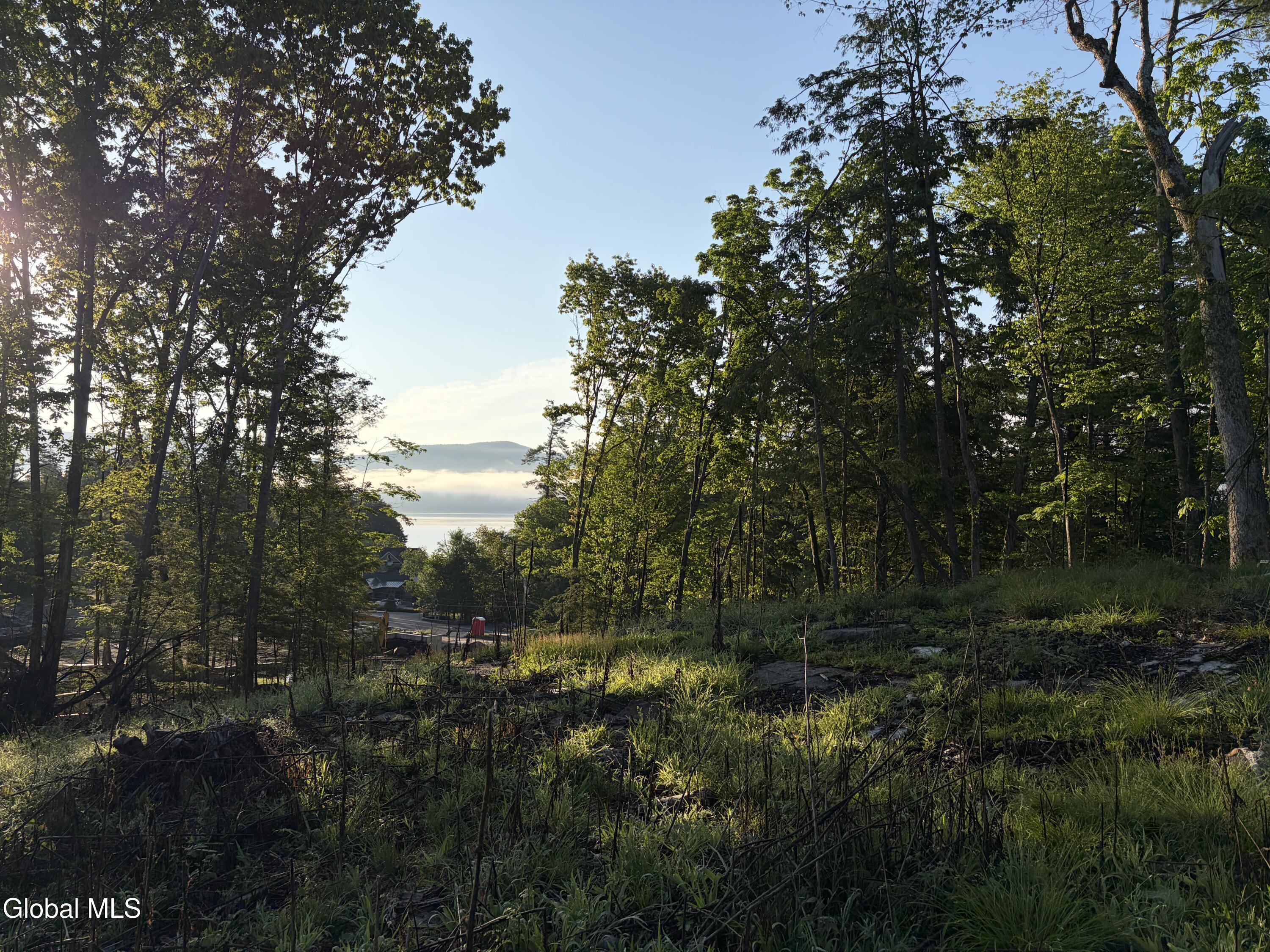 Image 4: IMG_3568