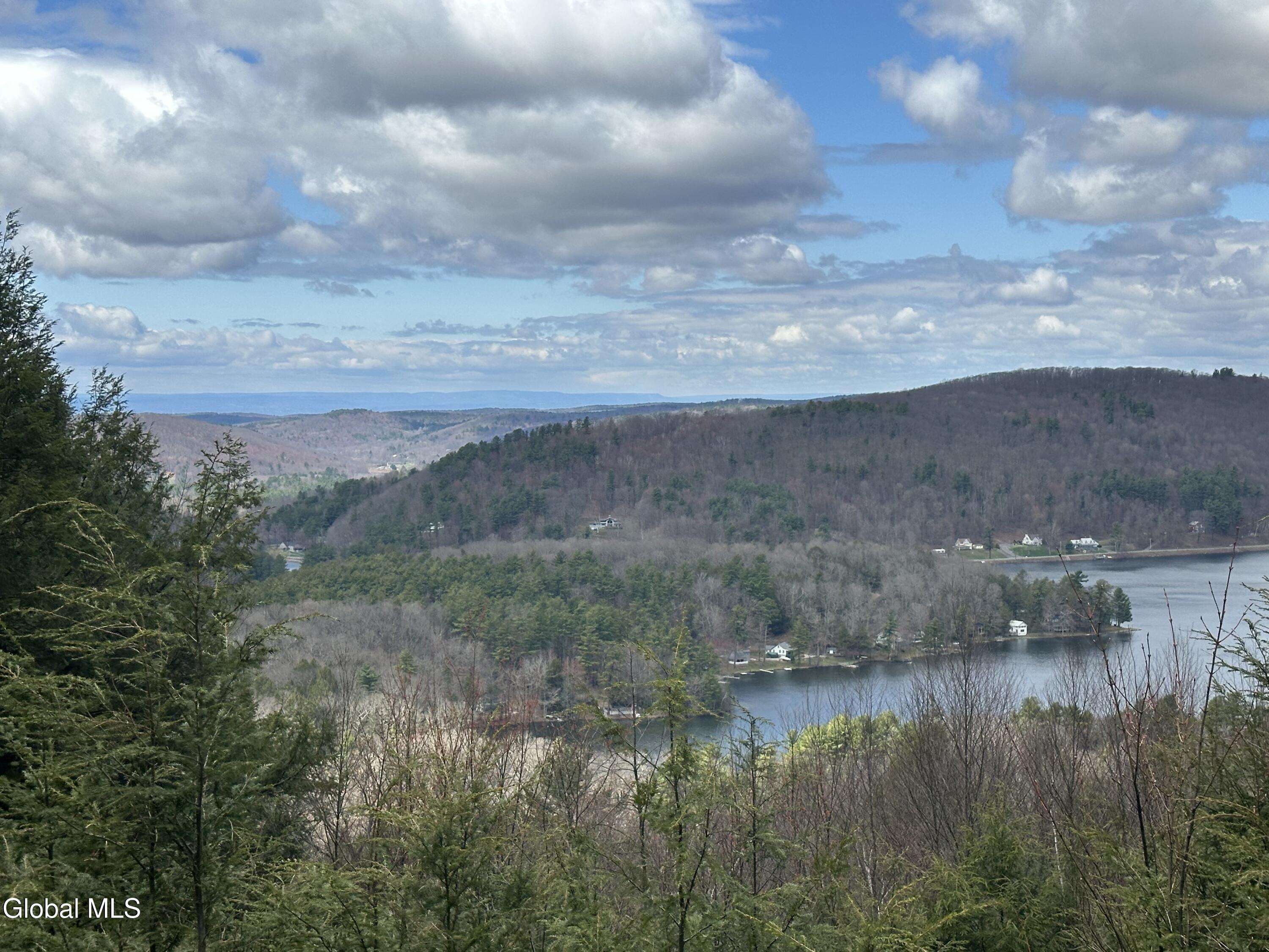 Image 2: Ron Gelber view