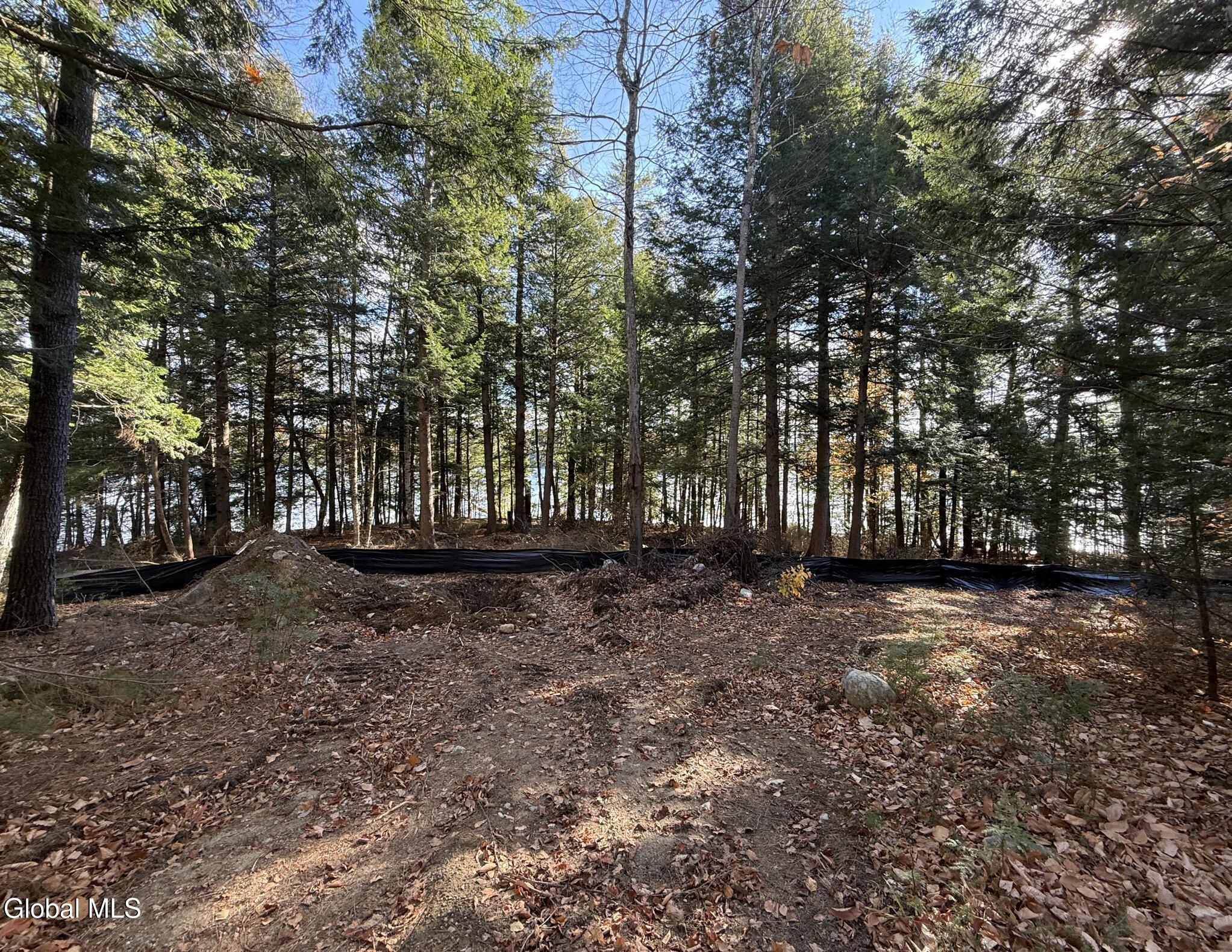 Image 3: Teds Way (1)