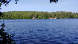 00 BIRCHWOOD DR