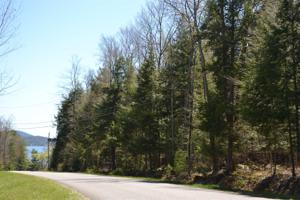 43 DIAMOND RIDGE RD
