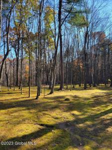 Lot 2A State Route 9P