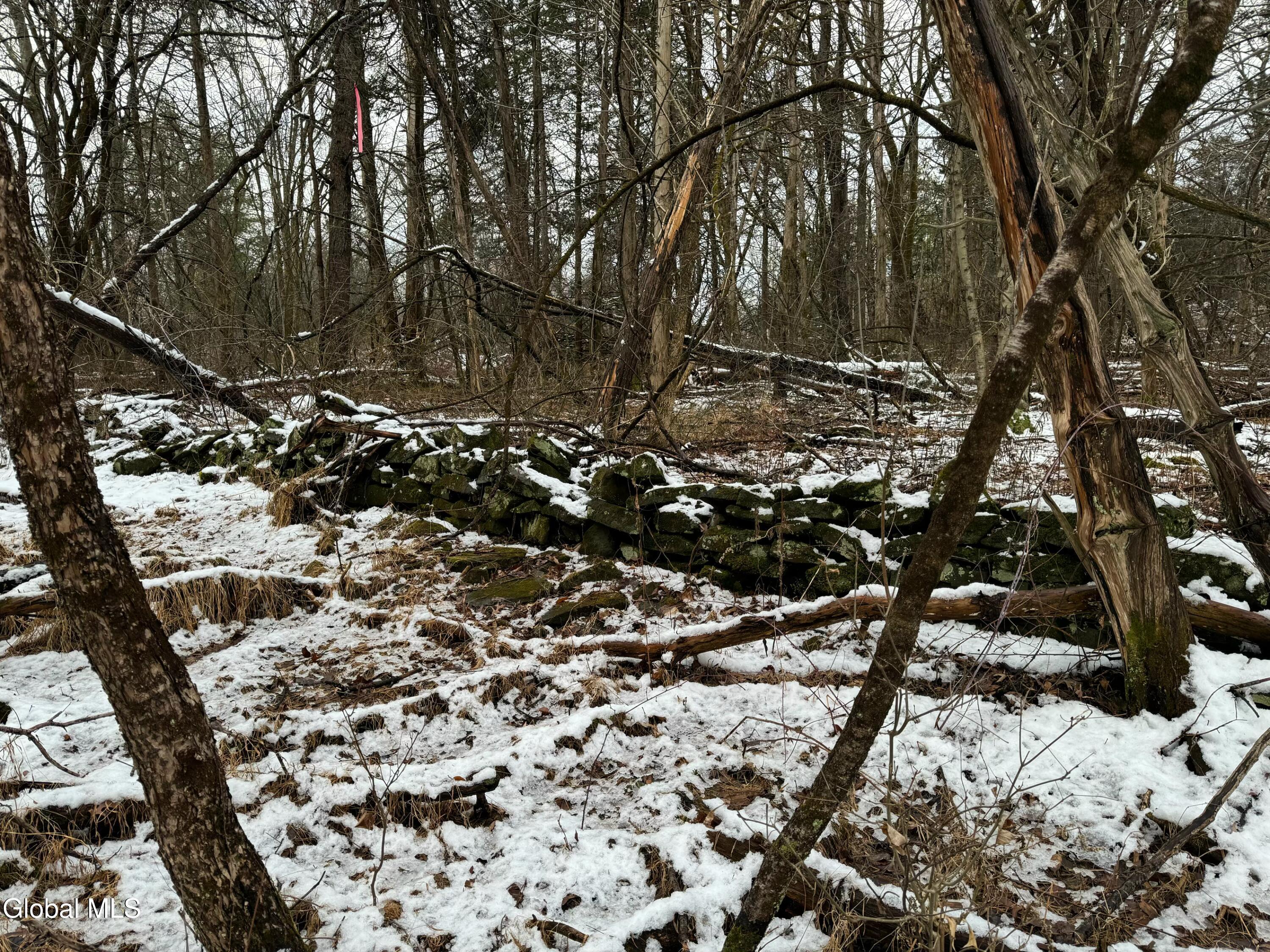 Image 1: 2000 Sleepy Hollow Rd.
