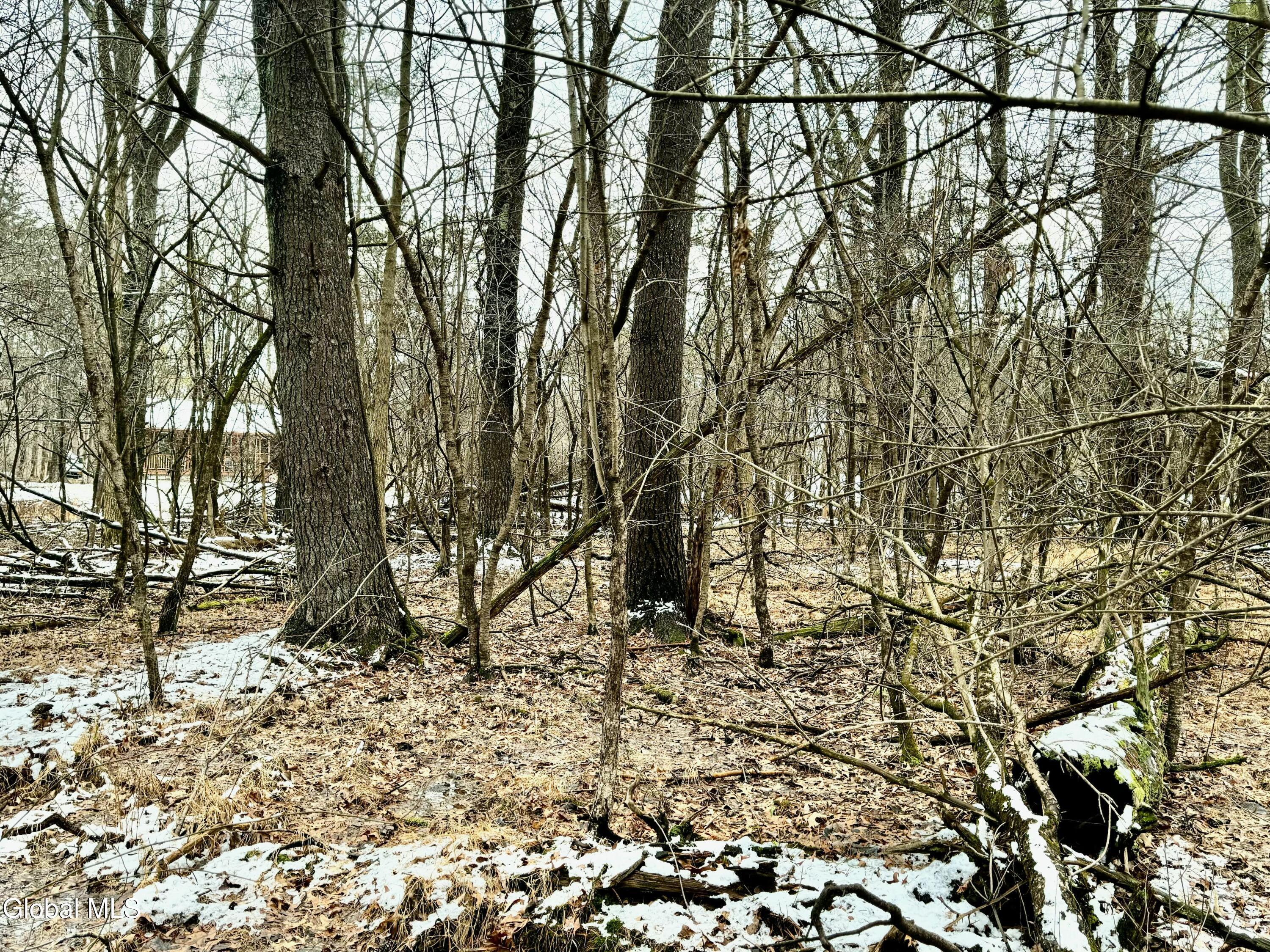 Image 3: 2000 Sleepy Hollow Rd