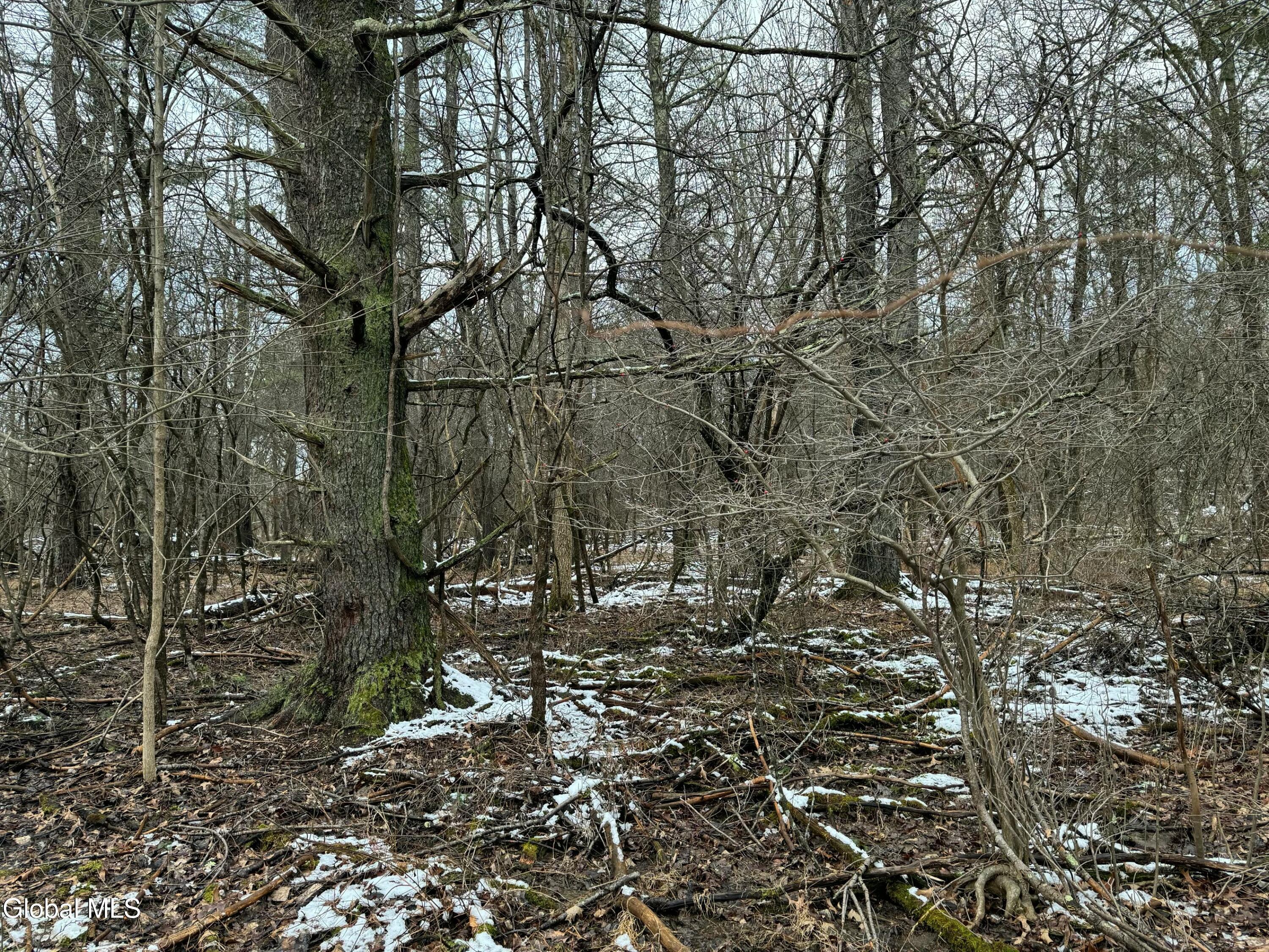 Image 4: 2000 Sleepy Hollow Rd