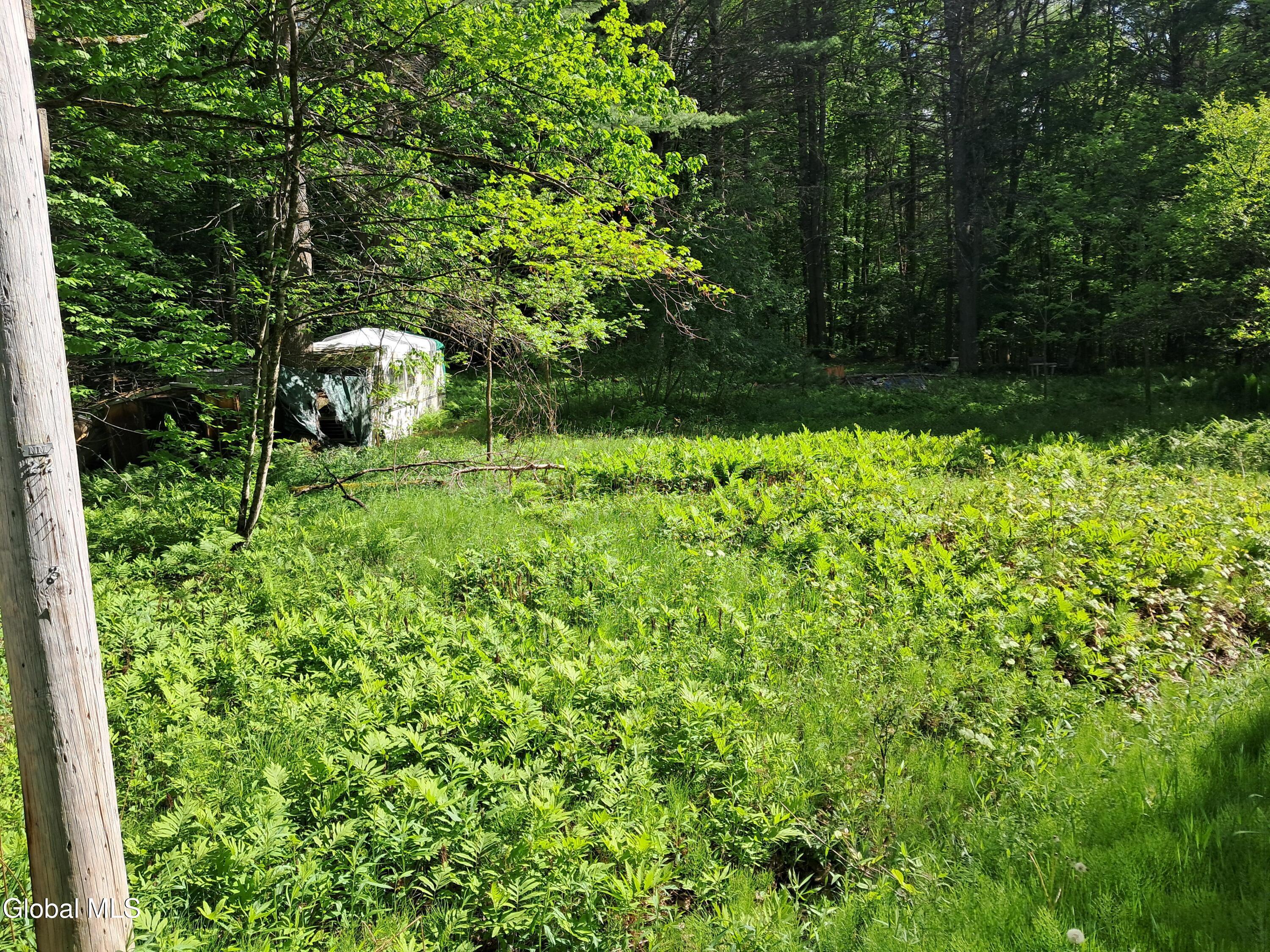 Image 2: 20260601_162942