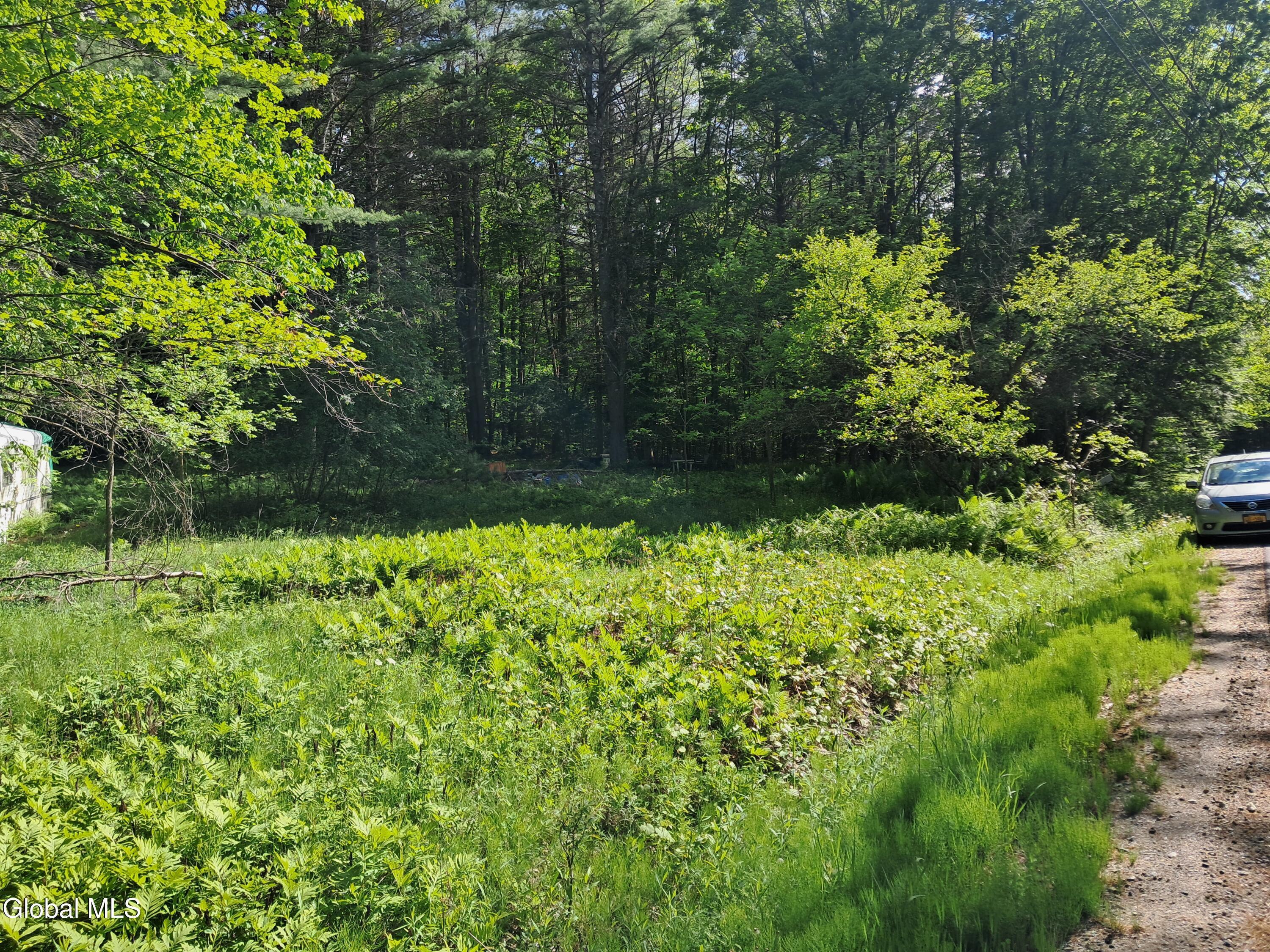 Image 3: 20260601_162954