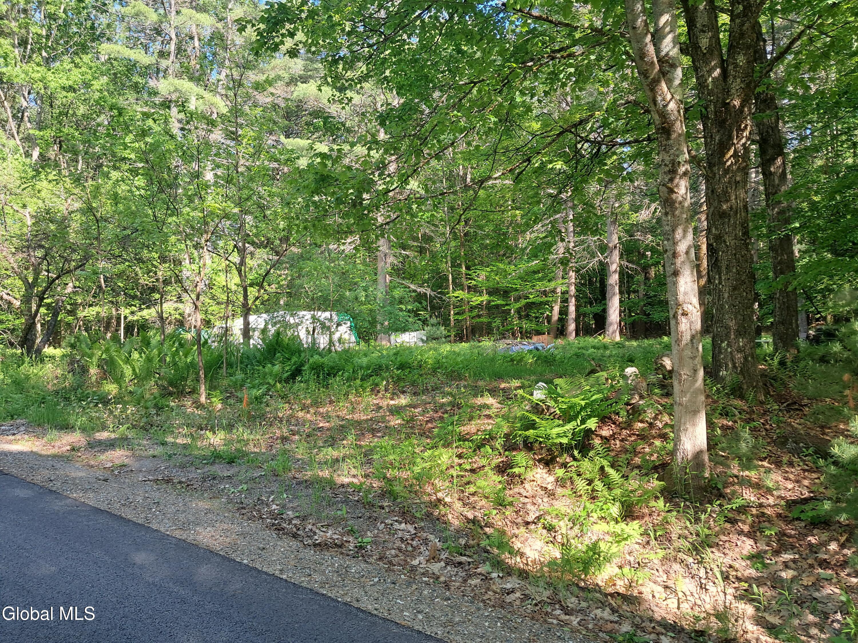 Image 4: 20260601_163213