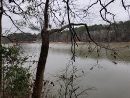 0 Powell Trace