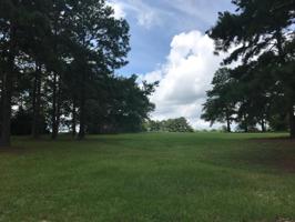 117 Lot Pebble Beach Drive