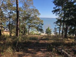 153 South Lakeview Terrace