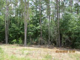 0 Winding Way Blvd. (Arrowhead Dr.)