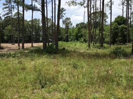 21 Tanglewood Trail