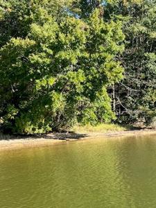 0 Beechtree Lane