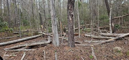 Lot 424 Winding Way Blvd