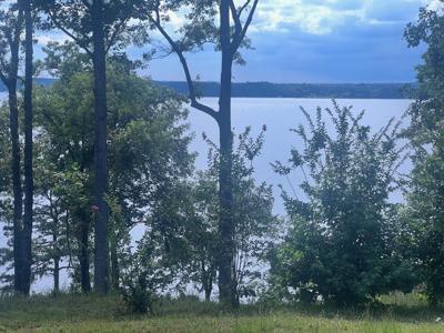 23 Deer Trail