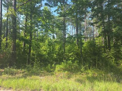 Lot 441 Winding Way Blvd