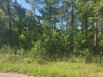 Lot 442 Winding Way Blvd