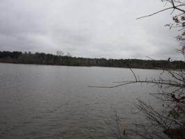 Lot 7 Holly Drive