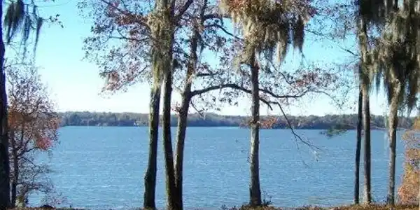 Lots 2, 3, 4 Point Drive