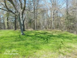 Lot 7 County Line Road