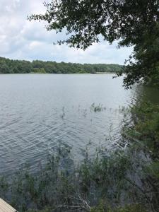 0 Oakridge Trail