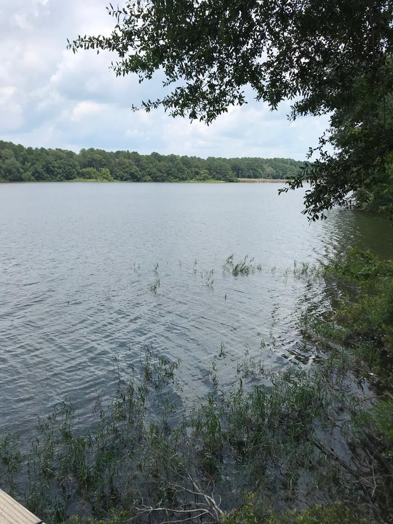 Image 1: Main View