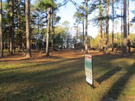 0 Tanglewood Trail  Lot 19