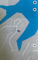Lot 40 Englewood