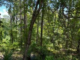 Lot 123 Lakeshore Drive