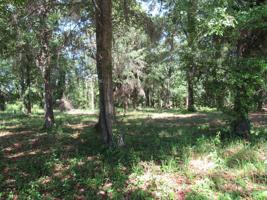 Lot 9 County Line RD