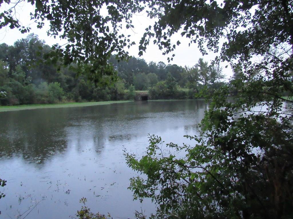 Image 1: Main View