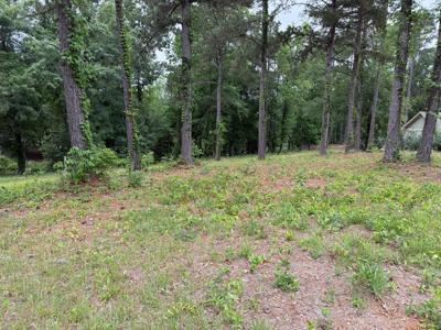 Powell Trace