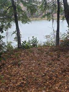 Lot 10 Cotton Cove Drum