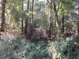 Lot 9 White Drive