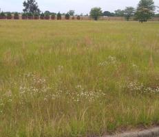 0 Lot 4 Robert E Lee Way