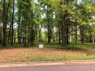 Lot 23 Shadow Moss Drive