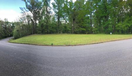 Lot 24 Shadow Moss Drive