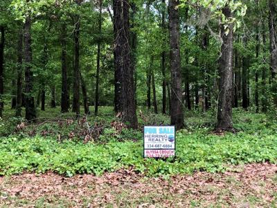 Lot 4 Shadow Moss Drive