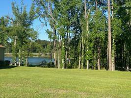 Lot 3 Walden Woods Loop