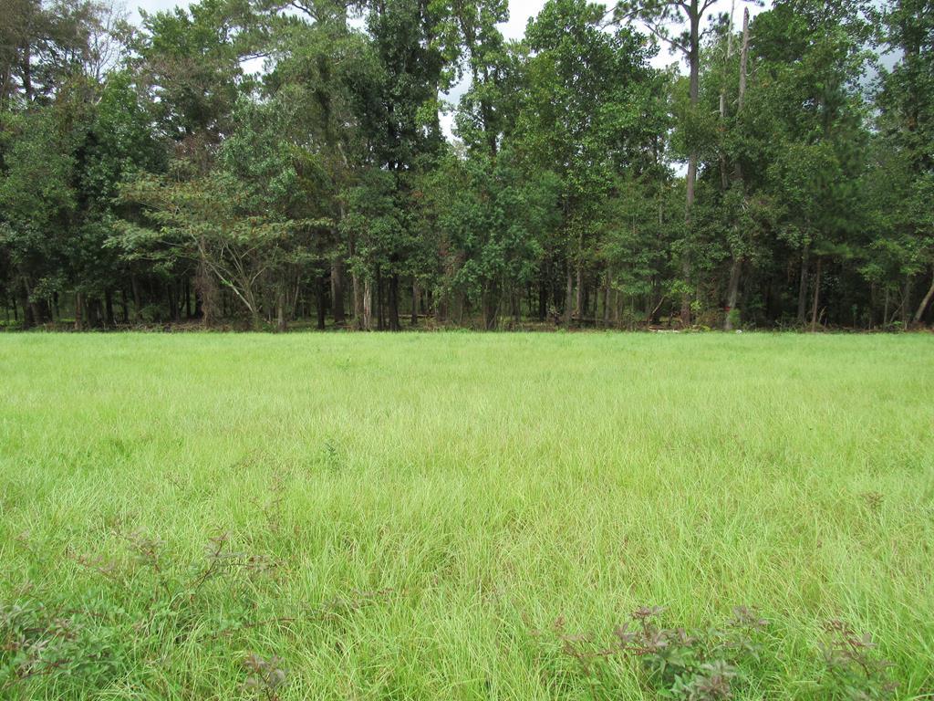Image 1: Main View