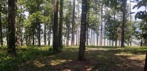 Lot 133 Lakeshore Dr