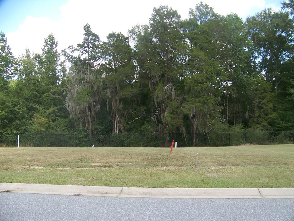 Image 2: Street View of Lots