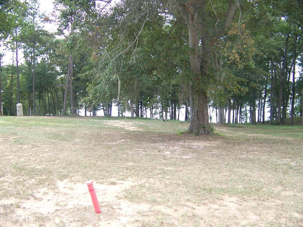 Image 3: Views of the Lake