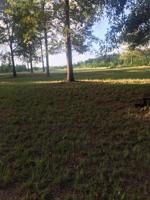0 Kasey drive