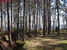Lot 591 Lakeshore Lane