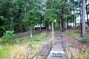 1381 Powell Trace