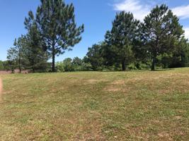 Lot 15 Cypress Cove Drive