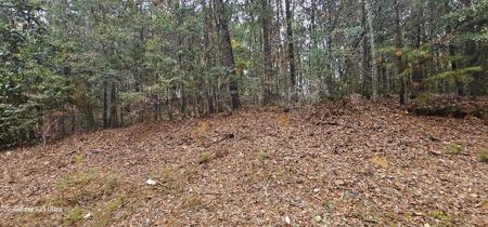 Lots 406-408 West Sandy Drive WWE