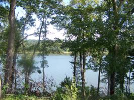Lot 18 Walden Woods Loop